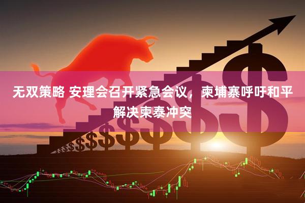 无双策略 安理会召开紧急会议，柬埔寨呼吁和平解决柬泰冲突